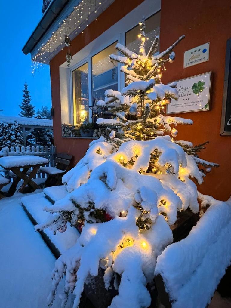 Pension Muehlhahn Schierke Exterior foto